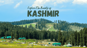 Kashmir Paradise Tour 7D-6N